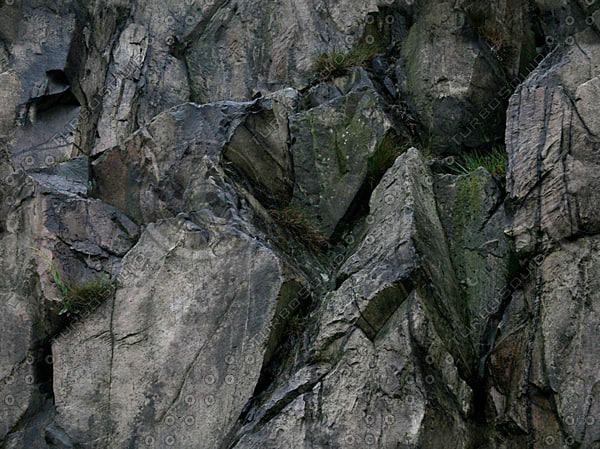 Seamless Rock Face Texture